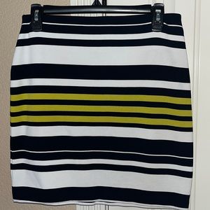 Beautiful Ann Taylor Skirt